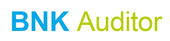 Logo BNK Auditor