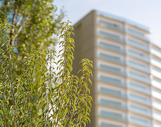 Pflanze im Vordergrund, im Hintergrund ein Hochhaus